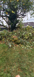 Photo de galerie - DECHETS VERT