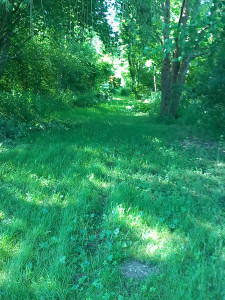 Photo de galerie - Terain au bord du serin 