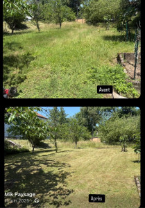 Photo de galerie - Tonte de gazon 