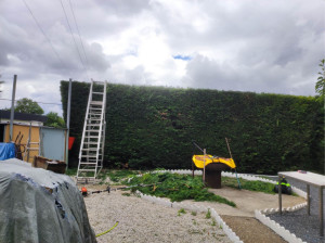 Photo de galerie - Taille 