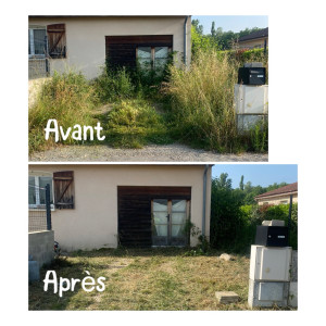 Photo de galerie - Gros débroussaillage d’une maison qui a été laisser pandant un bon moment 