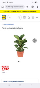 Photo de galerie - Aide aux courses
