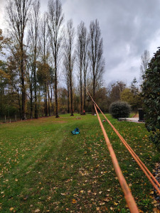 Photo de galerie - Elagage et coupe d'arbres