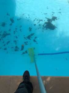 Photo de galerie - Entretien piscine