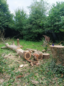 Photo de galerie - Transformation de l arbre, en mobilier naturel sur mesure.