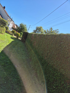 Photo de galerie - Un client content 