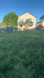 Photo de galerie - Tonte de pelouse - Débroussaillage