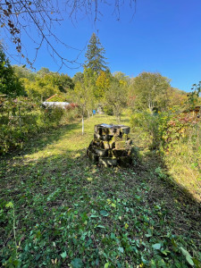 Photo de galerie - Tonte de pelouse - Débroussaillage