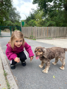 Photo de galerie - Balade avec un chien que j’ai garder et par la même occasion ma nièce que je gardais aussi 