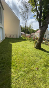 Photo de galerie - Tonte de pelouse 