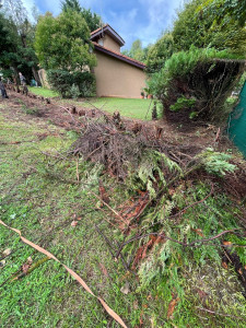 Photo de galerie - Paysagiste - Aménagement du jardin
