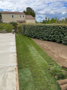 Photo de galerie - Paysagiste - Aménagement du jardin