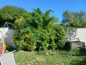 Photo de galerie - ?