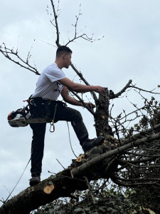 Photo de galerie - ?