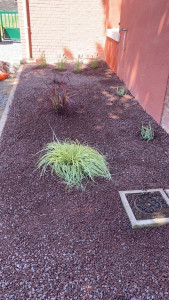 Photo de galerie - Paysagiste - Aménagement du jardin