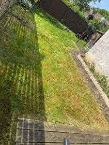 Photo de galerie - Remise en état complète d'un jardin avec herbes hautes. Tonte précise, passage de la débroussailleuse sur les bordures et évacuation des déchets verts pour un résultat impeccable.

