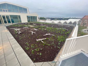 Photo de galerie - Paysagiste - Aménagement du jardin