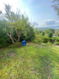 Photo de galerie - Tonte de pelouse 