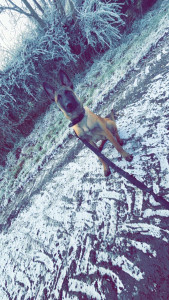 Photo de galerie - Voici mon petit Loulou de 7 mois 