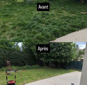Photo de galerie - C'est un des chantiers où j'ai réalisé une débroussaillage le client était très satisfait. 