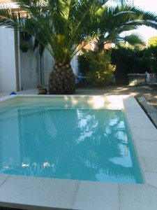 Photo de galerie - Entretien piscine