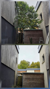 Photo de galerie - Abattage d'arbre 