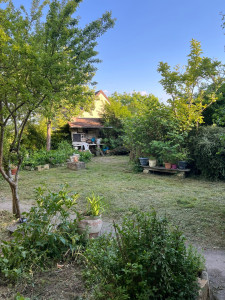 Photo de galerie - Tonte de pelouse 