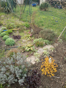 Photo de galerie - Avant nettoyage 