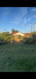 Photo de galerie - Abattage 