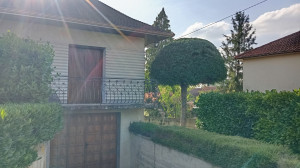 Photo de galerie - Taille de haies et d'arbustes