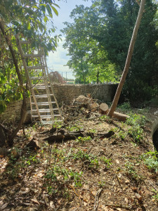 Photo de galerie - Abattage arbre