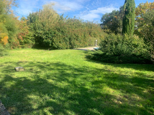 Photo de galerie - Tonte avec ramassages 