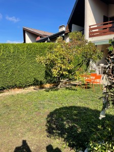 Photo de galerie - Taille de haies et d'arbustes