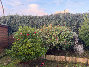 Photo de galerie - ?