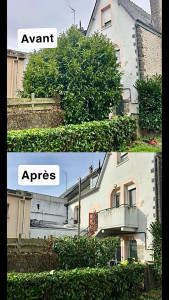 Photo de galerie - Elagage et coupe d'arbres