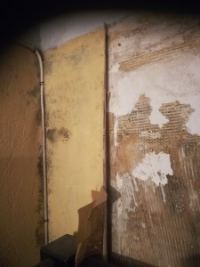 Photo de galerie - Peinture - Tapisserie