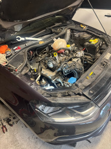 Photo de galerie - Distribution