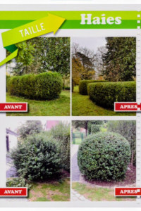 Photo de galerie - Taille de haie