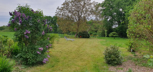 Photo de galerie - Tonte + fauchage tardif 