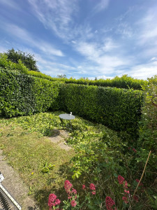 Photo de galerie - Taille de haies et d'arbustes