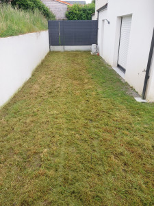 Photo de galerie - Tonte de pelouse - Débroussaillage