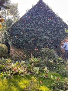 Photo de galerie - Taille de haies et d'arbustes