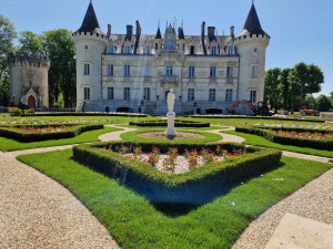 Photo de galerie - Tonte de pelouse - Débroussaillage