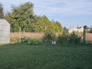 Photo de galerie - Aide au potager (conseil)