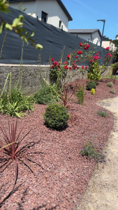 Photo de galerie - Massif refait à neuf