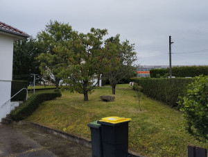 Photo de galerie - Entretien extérieur débroussaillage et taille de haie