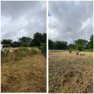 Photo de galerie - Paysagiste - Aménagement du jardin