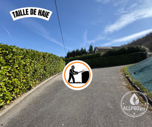 Photo de galerie - Entretien haie 
