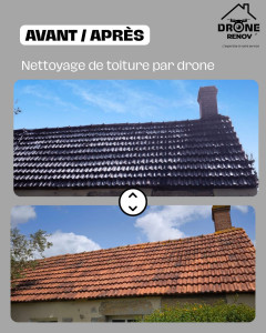 Photo de galerie - Nettoyage toiture 