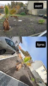 Photo de galerie - Nivellement de terrain